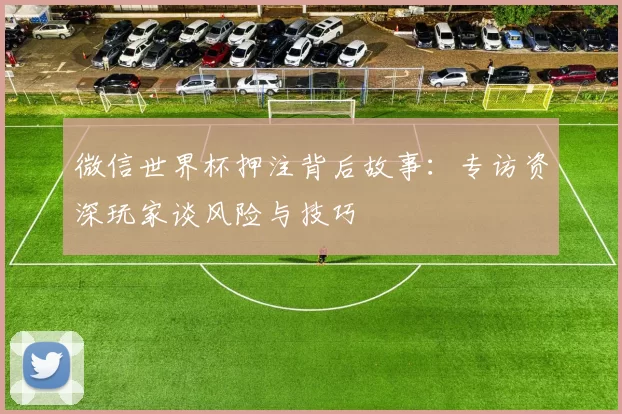 微信世界杯押注背后故事:专访资深玩家谈风险与技巧