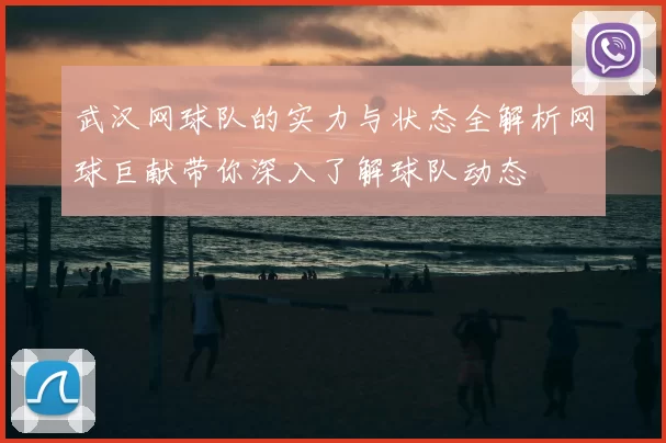 武汉网球队的实力与状态全解析网球巨献带你深入了解球队动态