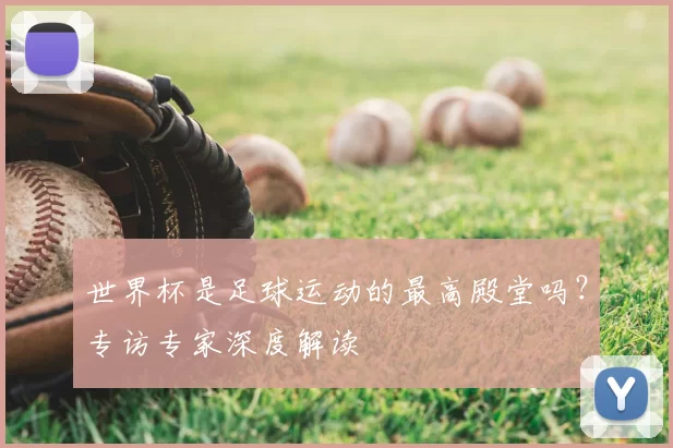 世界杯是足球运动的最高殿堂吗？专访专家深度解读