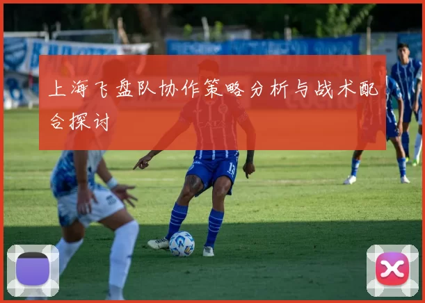 上海飞盘队协作策略分析与战术配合探讨