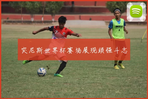 突尼斯世界杯赛场展现顽强斗志
