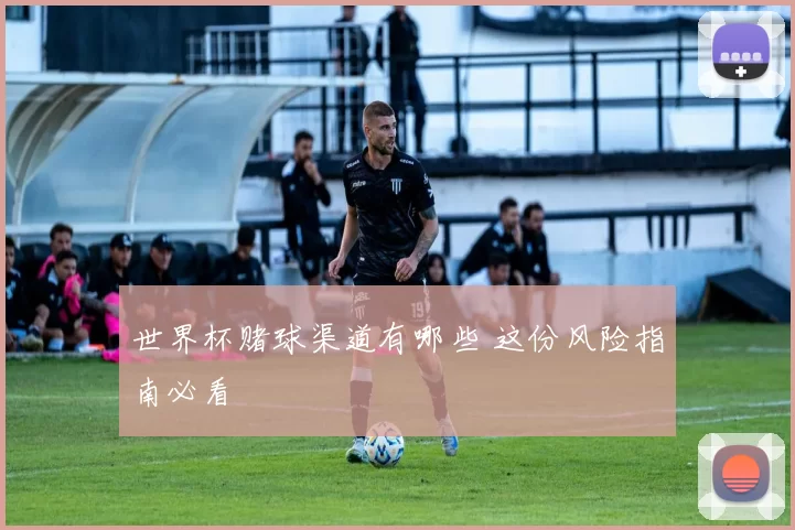 世界杯赌球渠道有哪些 这份风险指南必看