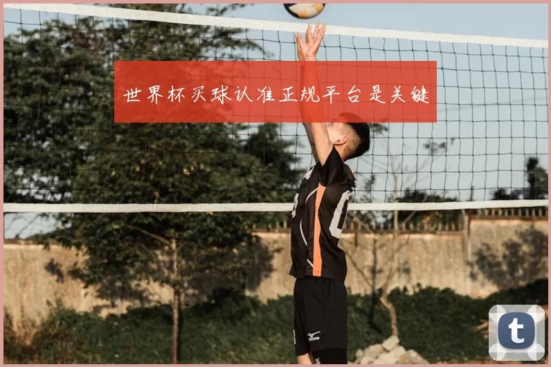 世界杯买球认准正规平台是关键