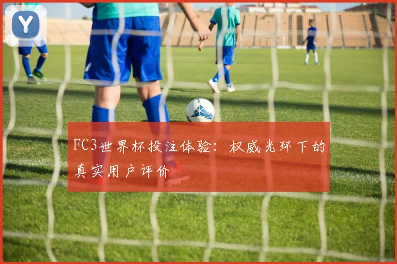 FC3世界杯投注体验:权威光环下的真实用户评价