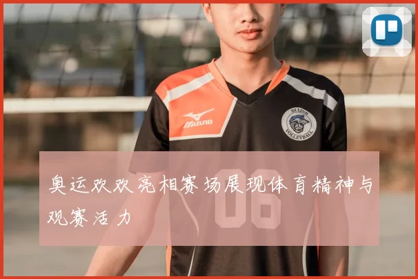 奥运欢欢亮相赛场展现体育精神与观赛活力