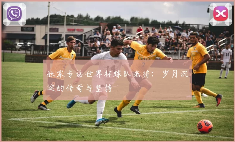 独家专访世界杯球队老将:岁月沉淀的传奇与坚持
