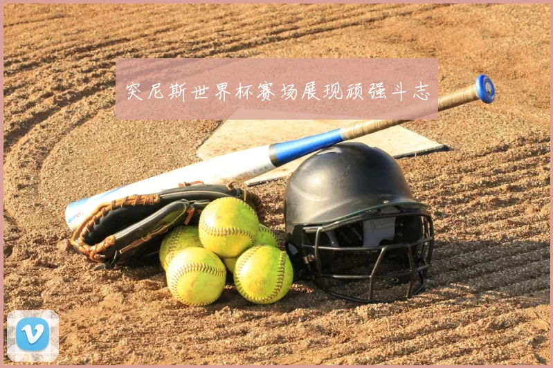 突尼斯世界杯赛场展现顽强斗志
