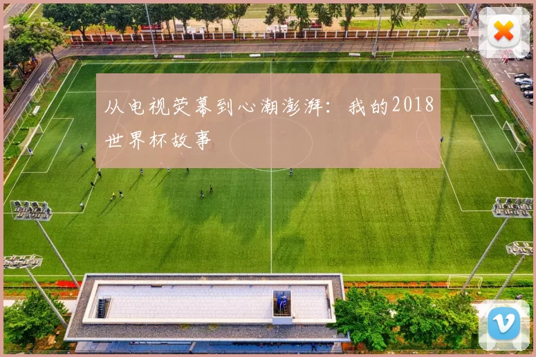 从电视荧幕到心潮澎湃：我的2018世界杯故事