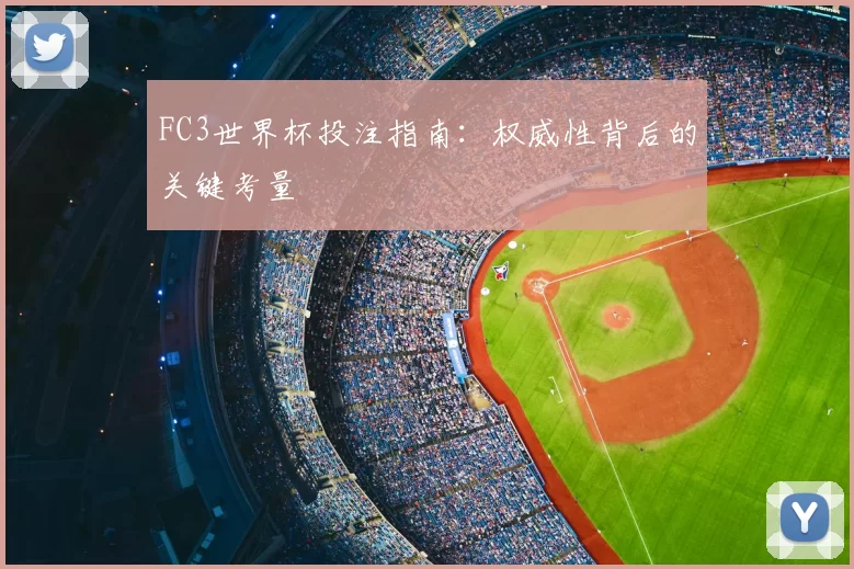 FC3世界杯投注指南：权威性背后的关键考量