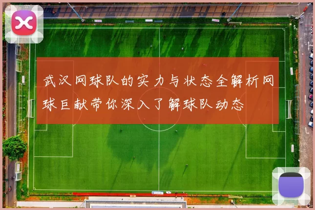 武汉网球队的实力与状态全解析网球巨献带你深入了解球队动态