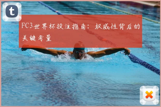 FC3世界杯投注指南:权威性背后的关键考量