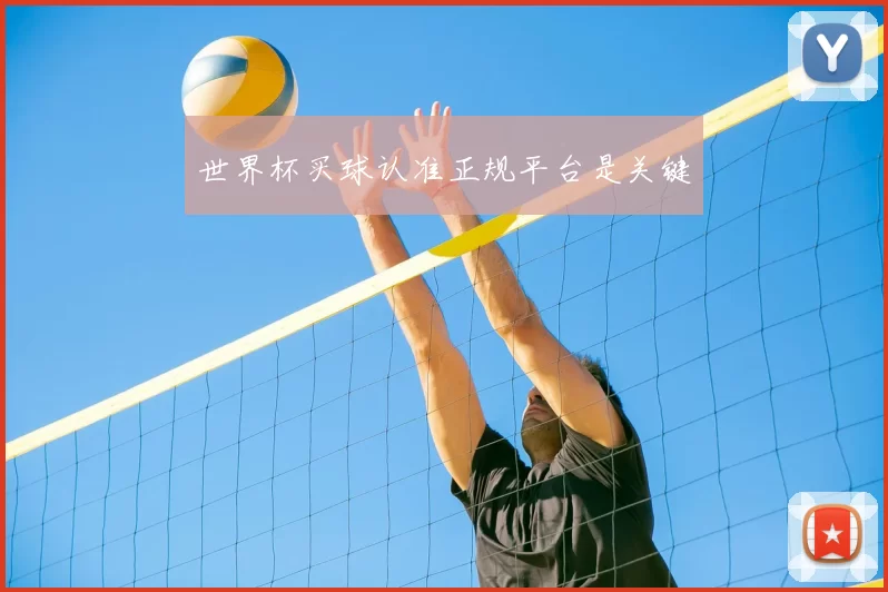 世界杯买球认准正规平台是关键