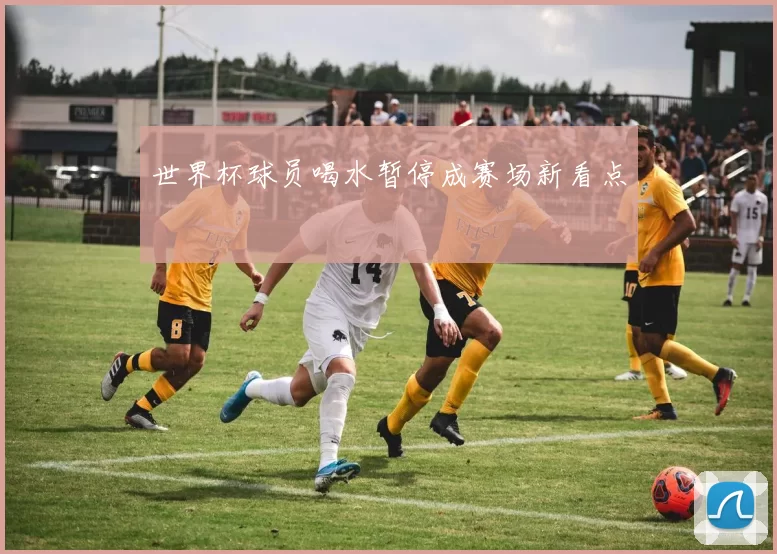 世界杯球员喝水暂停成赛场新看点