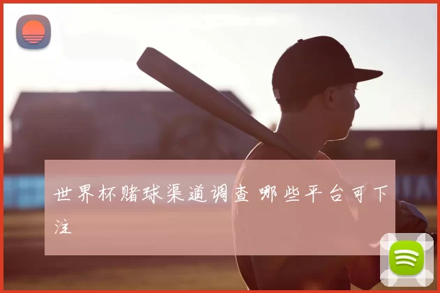 世界杯赌球渠道调查 哪些平台可下注