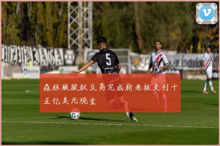 森林狼股权交易完成新老板支付十五亿美元现金