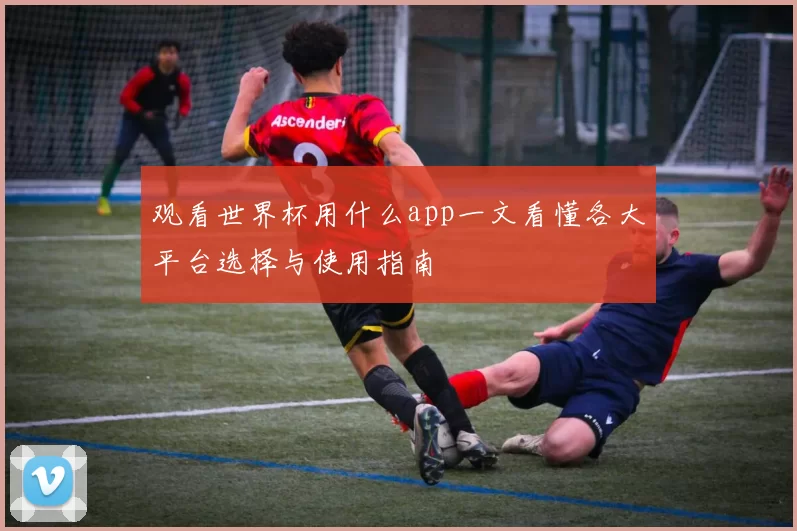 观看世界杯用什么app一文看懂各大平台选择与使用指南