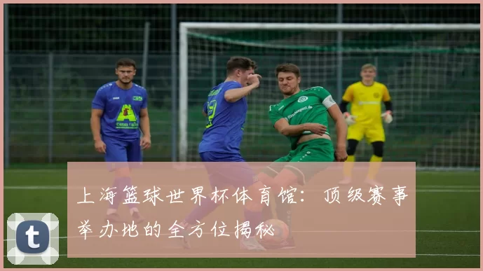 上海篮球世界杯体育馆：顶级赛事举办地的全方位揭秘