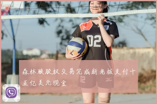 森林狼股权交易完成新老板支付十五亿美元现金