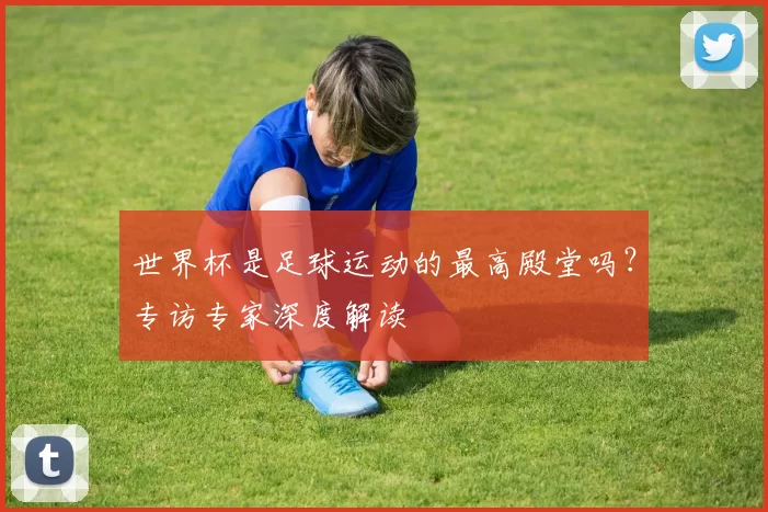 世界杯是足球运动的最高殿堂吗？专访专家深度解读