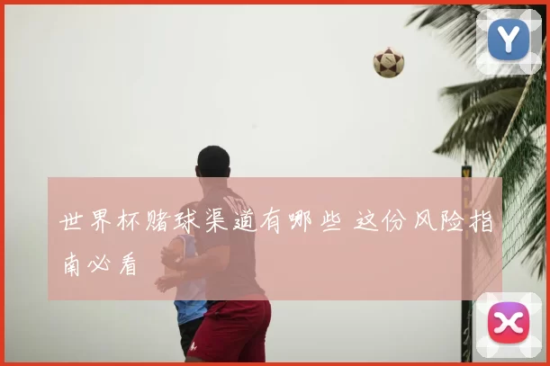世界杯赌球渠道有哪些 这份风险指南必看